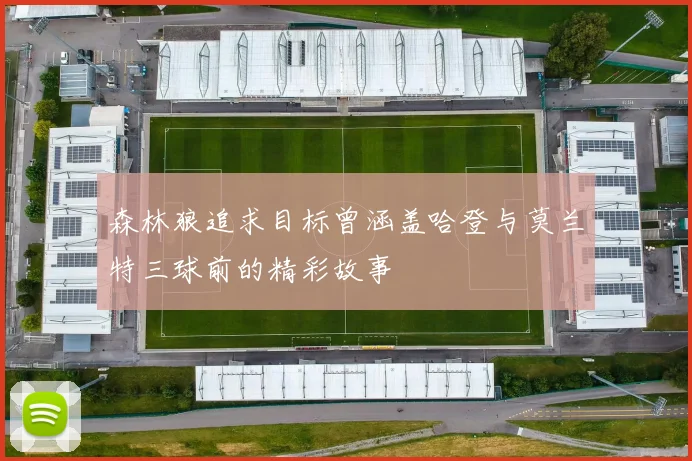 森林狼追求目标曾涵盖哈登与莫兰特三球前的精彩故事